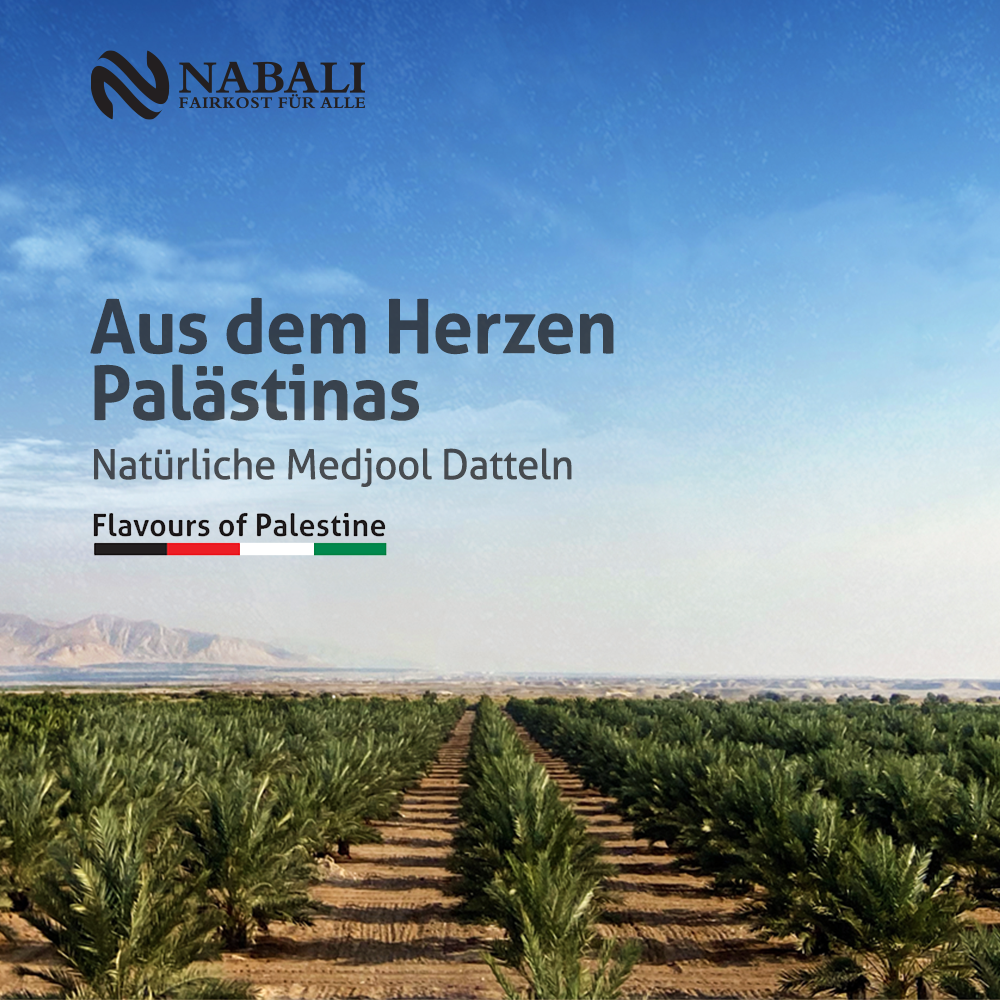 🌙 Ramadan Angebot: 3x5KG Premium Bio Medjool Datteln Jumbo + GRATIS 2x Tahini | Aktuelle Ernte