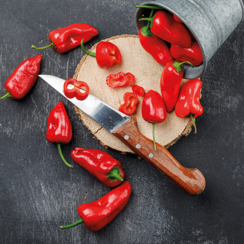 Shatta - Chillisauce aus Palästina 150g - Rift Valley Farms