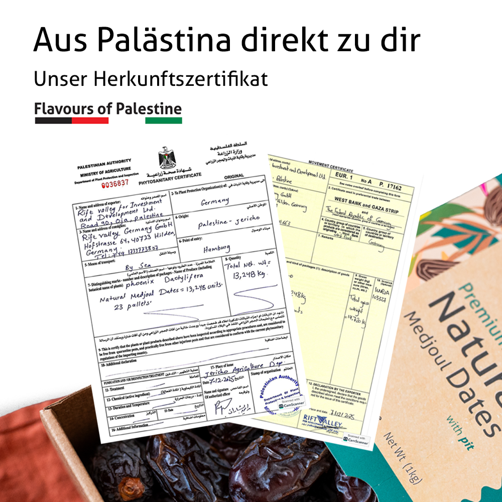 Palästinensiche Medjool Datteln Premium Jumbo 1KG - Rift Valley Farms - Ernte 2026