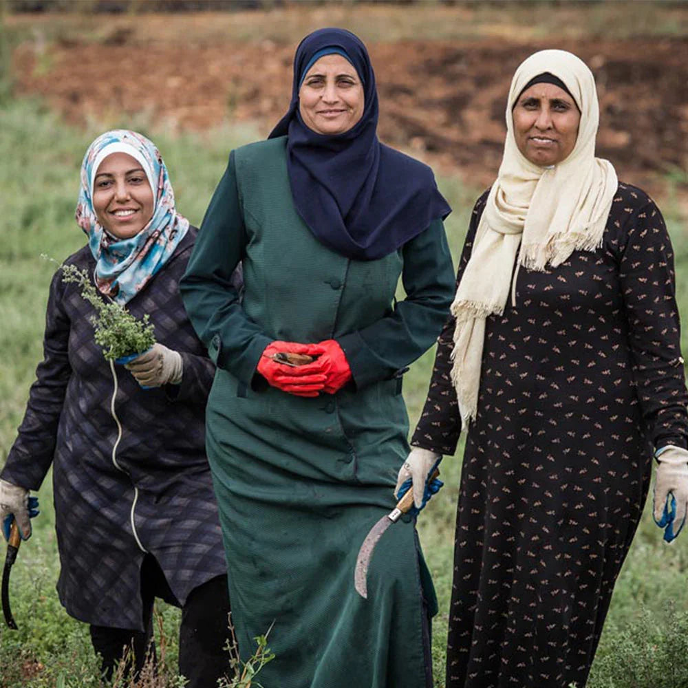 Warum ist Olivenöl aus Palästina so besonders?