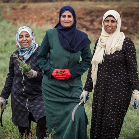 Warum ist Olivenöl aus Palästina so besonders?