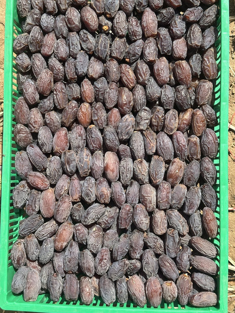 Medjool-Datteln auswählen und sortieren: Warum nicht jede Frucht gleich ist - Rift Valley Farms EU