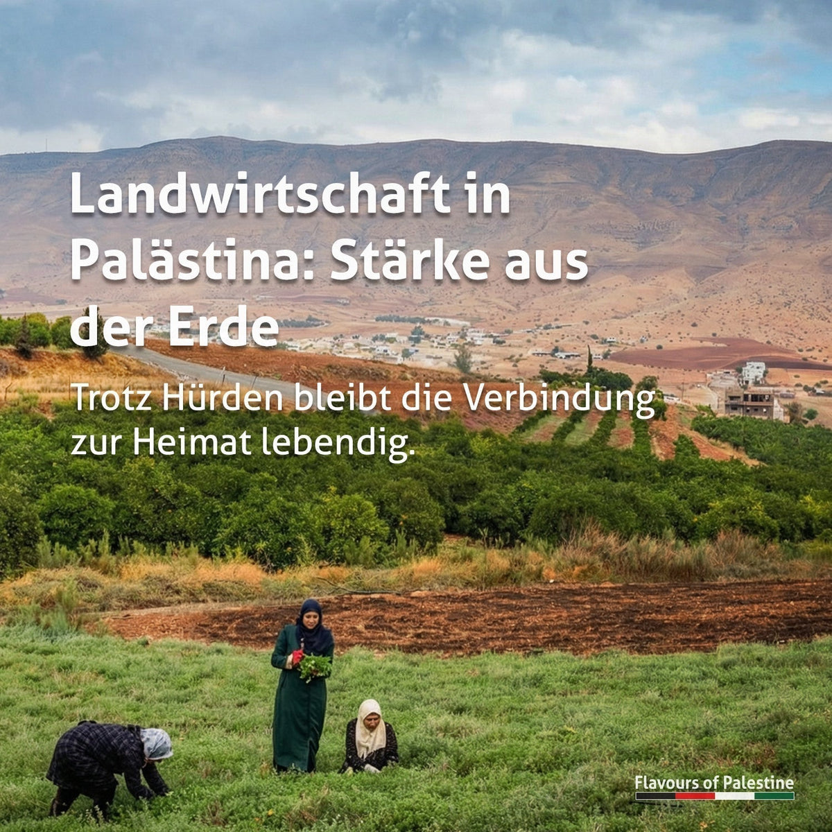 Palästinensische Landwirtschaft und die Herausforderung - Rift Valley Farms EU 