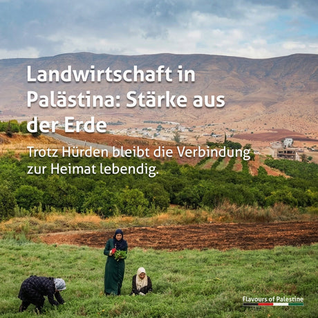 Palästinensische Landwirtschaft und die Herausforderung - Rift Valley Farms EU 