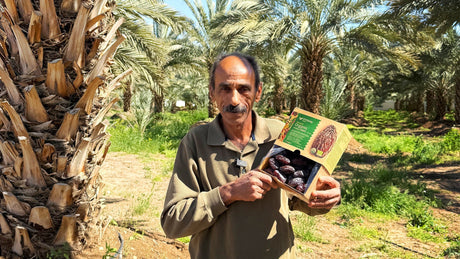Unsere Farm in Palästina: Herkunft, Menschen und echte Einblicke - Rift Valley Farms EU