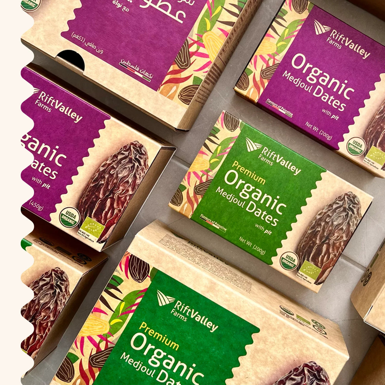 Medjool Datteln aus Palästina