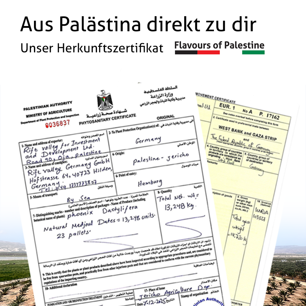 Palästinensiche Bio Medjool Datteln Premium Large/Jumbo - Rift Valley Farms - Ernte 2026