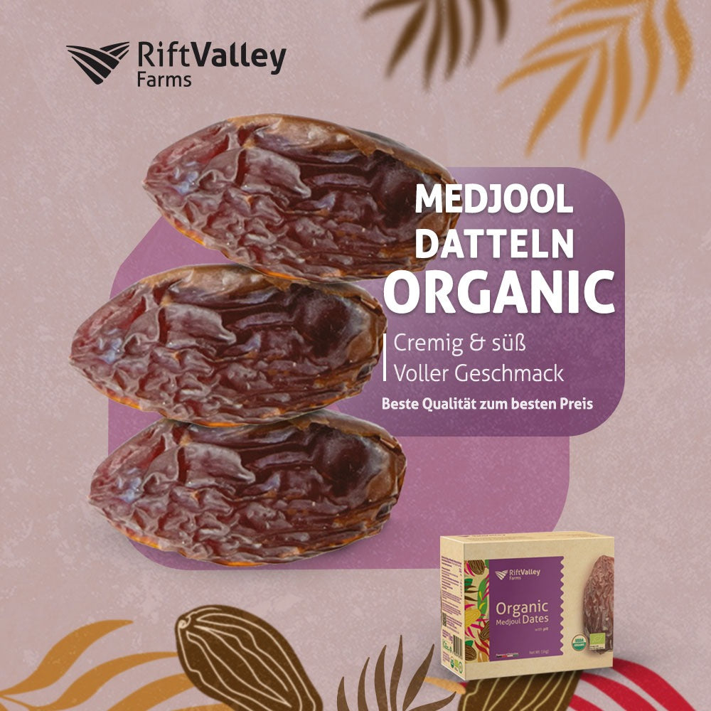 Palästinensische Bio Medjool Datteln Choice 5KG - Rift Valley Farms Ernte 2025