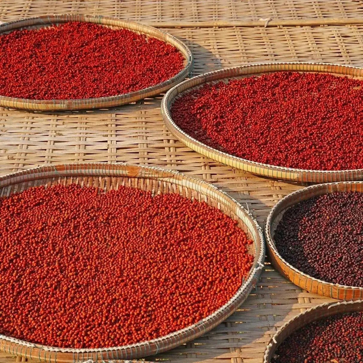 Geschenkpaket: Kampot Pfeffer 3 Sorten - Rift Valley Farms EU