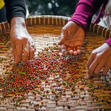 Geschenkpaket: Kampot Pfeffer 3 Sorten - Rift Valley Farms EU