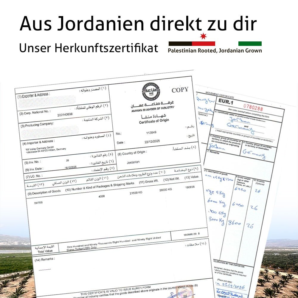 Premium Bio Medjool Datteln aus Jordanien 5KG - Rift Valley Farms EU