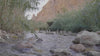 Rift Valley Palestine Date Organic Medjoul Medjool Farm