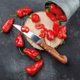Shatta - Chillisauce aus Palästina 150g - Rift Valley Farms - Rift Valley Farms EU
