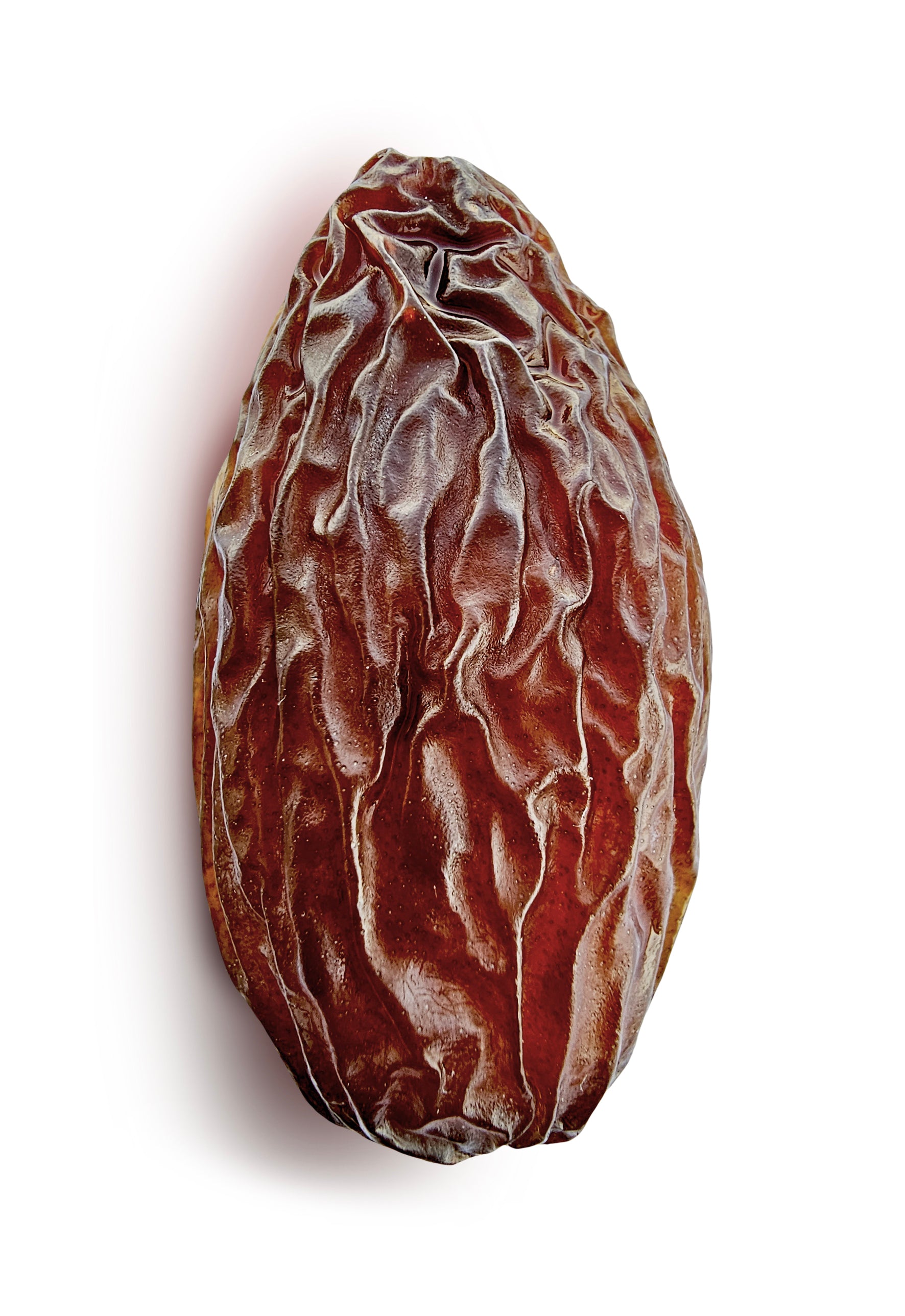 Medjool Bio